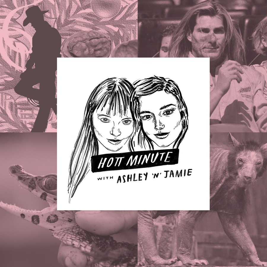 When Animals Attack with Tracy Walnut