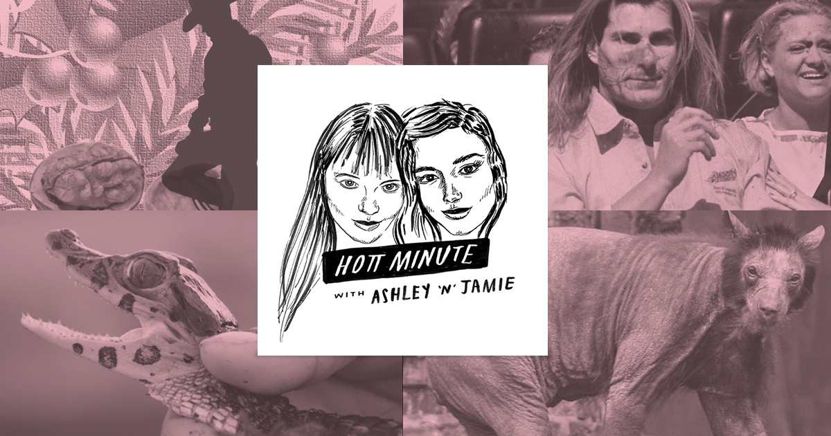 When Animals Attack with Tracy Walnut